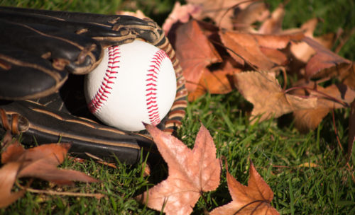 A close up of a baseball and glove with fall leaves and green grass
